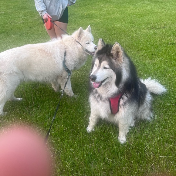 Meet your Posher, Brooke - Picture 11 of 11